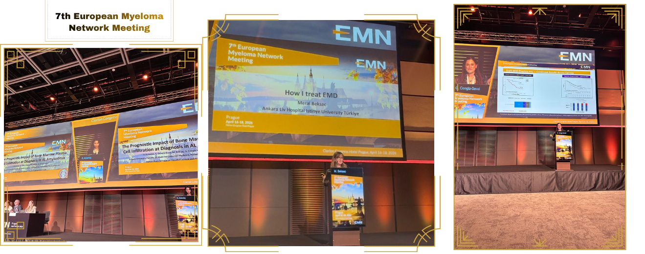7th European Myeloma Network Meeting